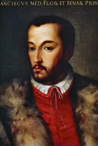 Portret van Francesco I de Medici (Florence)