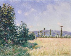 Sahurs weiden in ochtendzon, 1894