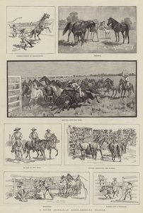 Een Zuid-Australisch paardenfokstation