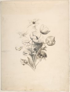 Floraal ontwerp