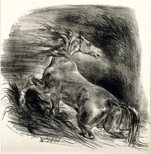 Wilde paard