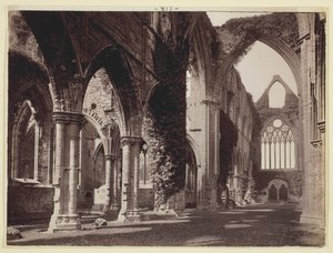 Zonder titel [Tintern Abbey]