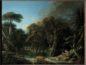 Het bos