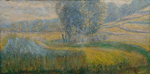 Het veld van Rafolče