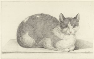 Zittende kat, naar rechts