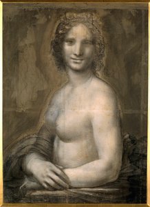 Studie van vrouwelijk naakt waarschijnlijk de Mona Lisa (detail)