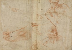 Figurenstudies voor het plafond van de Sixtijnse Kapel