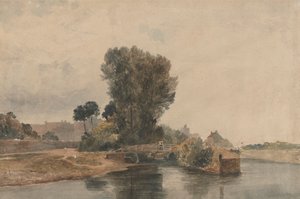 Windsor van Onder de Sloten