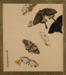 Lakken schilderijen van verschillende onderwerpen: Vlinders, gedateerd 1881