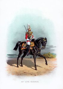 1st Life Guards