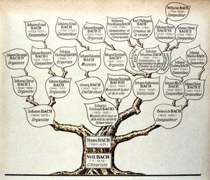 Stamboom van de familie Bach