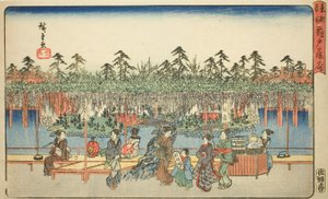 Wisteria bij Kameido, uit de serie "Beroemde plaatsen in de oostelijke hoofdstad" door Utagawa Hiroshige