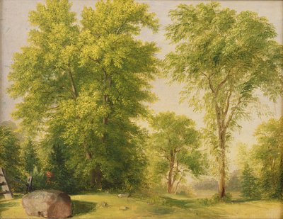 Studie uit de Natuur, Hoboken, New Jersey, c.1834 door Asher Brown Durand